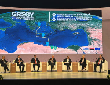 Σημαντική παρουσία του Ομίλου Κοπελούζου και του «GREGY» στο Επενδυτικό Συνέδριο Αιγύπτου – Ευρωπαϊκής Ένωσης που πραγματοποιήθηκε στο Κάιρο