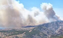 Εκτός ελέγχου η μεγάλη φωτιά στη Χίο – Ήχησε το 112 – Ενισχύσεις από την Σάμο και τη Λέσβο
