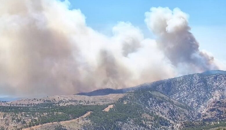 Εκτός ελέγχου η μεγάλη φωτιά στη Χίο – Ήχησε το 112 – Ενισχύσεις από την Σάμο και τη Λέσβο