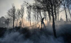 Χωρίς ενεργά μέτωπα οι φωτιές σε Σταμάτα και Κερατέα – Σε εξέλιξη η πυρκαγιά στη Ζάκυνθο και στο Δίστομο