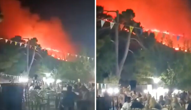Το δάσος της Αγίας Μαρίνας στη Ζάκυνθο κάηκε για τρίτη φορά τα τελευταία χρόνια