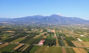 Η γη που… επέλεξαν ως κατοικία τους οι Θεοί του Ολύμπου, συνδυάζει όχι μόνο βουνό, αλλά και θάλασσα με πανέμορφες παραλίες