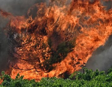 Μεγάλη φωτιά στην Κορινθία: Κατακαίει τα πάντα η πύρινη λαίλαπα – Ήχησε το 112 στην Στιμάγκα