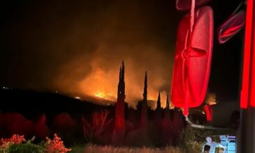 Κικίλιας για τη φωτιά στην Κορινθία: «Χωρίς ενεργό μέτωπο με εστίες που θα δουλευτούν όλο το βράδυ»