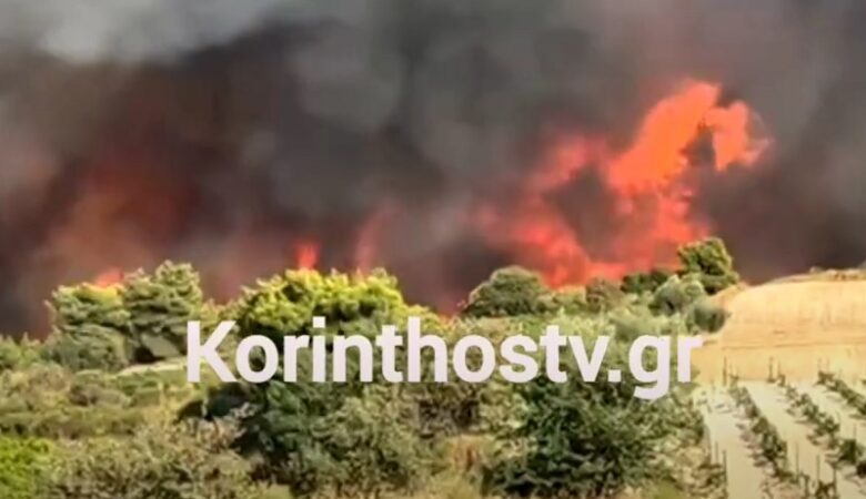 Μεγάλη αναζωπύρωση της χθεσινής πυρκαγιάς στην Κορινθία