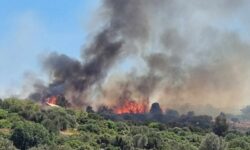 Φωτιά σε δασική έκταση στη Χίο – Ήχησε το 112