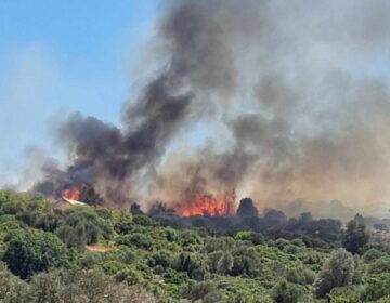 Φωτιά σε δασική έκταση στη Χίο – Ήχησε το 112