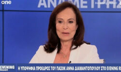 Άννα Διαμαντοπούλου: «Δεν μπαίνω στη μάχη για το ΠΑΣΟΚ για να είναι ένα συμπλήρωμα»