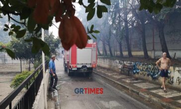 Φωτιά σε έκταση με ξερά χόρτα πίσω από την Αστυνομική Διεύθυνση Θεσσαλονίκης