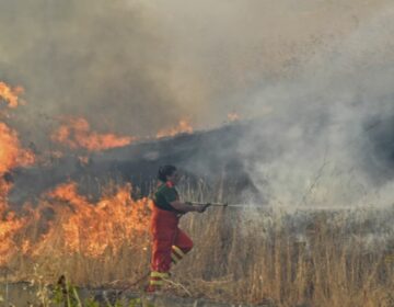 Φωτιά στη νότια Ιταλία οδήγησε στην απομάκρυνση 1.000 τουριστών