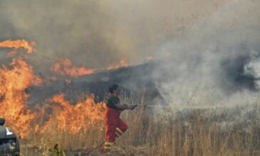 Φωτιά στη νότια Ιταλία οδήγησε στην απομάκρυνση 1.000 τουριστών