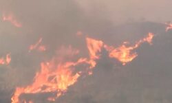 Συνελήφθη 72χρονος για την πυρκαγιά στα Χανιά – Πήρε φωτιά το αυτοκίνητό του λόγω βλάβης και οι φλόγες επεκτάθηκαν στο δάσος