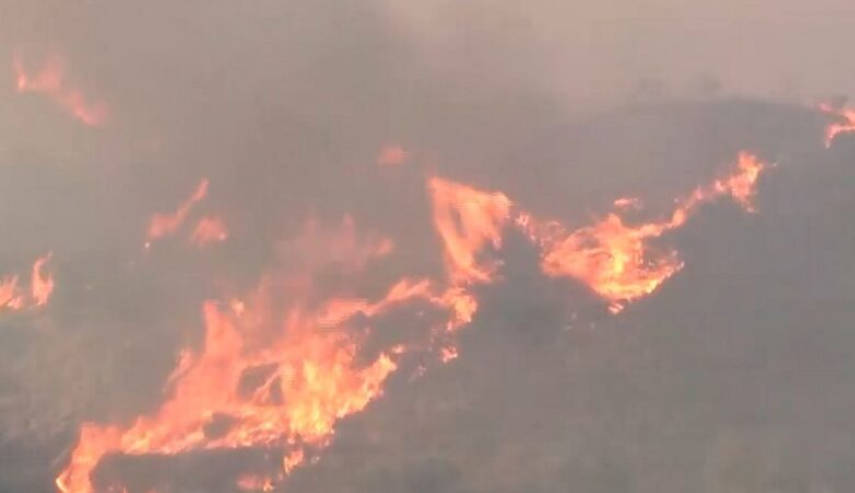 Συνελήφθη 72χρονος για την πυρκαγιά στα Χανιά – Πήρε φωτιά το αυτοκίνητό του λόγω βλάβης και οι φλόγες επεκτάθηκαν στο δάσος