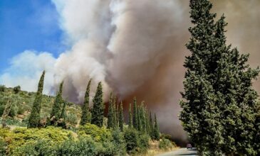 Εκτός ελέγχου η μεγάλη φωτιά στην Εύβοια – Εκκενώνονται χωριά