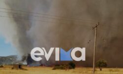 Ανεξέλεγκτη η φωτιά στην Εύβοια – Διαχωρίστηκε σε δύο μέτωπα και πέρασε την εθνική οδό