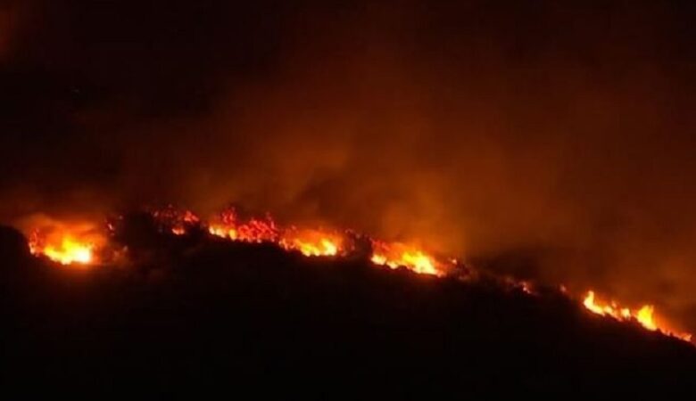 Ολονύχτια μάχη με τα πύρινα μέτωπα στην Εύβοια – Στην περιοχή μετέβη ο Βασίλης Κικίλιας