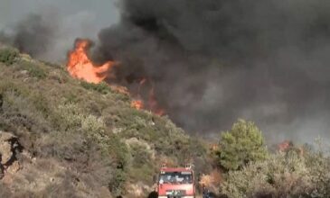 Μαίνεται η μεγάλη φωτιά στην Εύβοια – Εγκαύματα υπέστη πυροσβέστης – Ενισχύθηκαν οι πυροσβεστικές δυνάμεις
