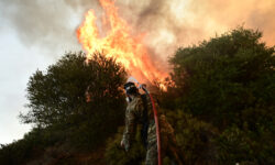 Ανεξέλεγκτη μαίνεται η φωτιά στην Εύβοια – Μήνυμα του 112 για εκκένωση του οικισμού Αφράτι