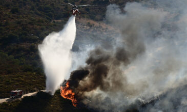 Για δεύτερη σερί μέρα καίει η φωτιά στην Εύβοια: Εκκενώθηκαν οικισμοί, μάχη με τις αναζωπυρώσεις – Δείτε εικόνες