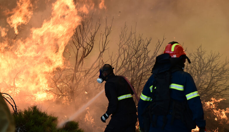 Μεγάλη φωτιά σε εξέλιξη στην Εύβοια