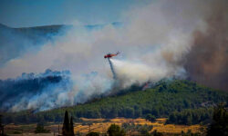 Μεγάλη φωτιά στην Εύβοια: Νέο μέτωπο προς τα χωριά Καμάρι και Πούρνος – Ο εκπρόσωπος της Πυροσβεστικής για τη δυσκολία κατάσβεσης