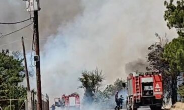 Συναγερμός στο Πολύκαστρο του Κιλκίς – Αναζωπυρώθηκε η φωτιά κοντά στο στρατόπεδο