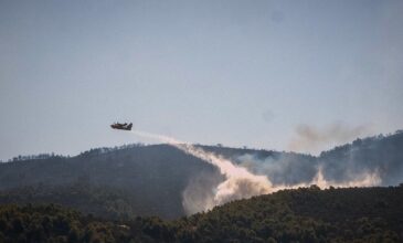 Φωτιά σε δασική έκταση στην Ικαρία – Σηκώθηκε αεροπλάνο