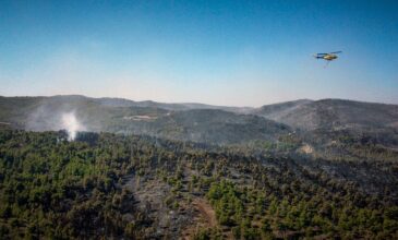 Οριοθετήθηκε η φωτιά στην Εύβοια – Τραυματίστηκαν δύο πυροσβέστες