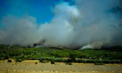 Χωρίς μέτωπο οι πυρκαγιές σε Εύβοια και Ρέθυμνο – Διάσπαρτες εστίες αντιμετωπίζουν οι πυροσβεστικές δυνάμεις