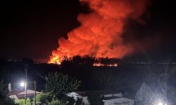 Μεγάλη φωτιά σε εξέλιξη κοντά σε αλσύλλιο στο Μεσολόγγι