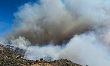 Μαίνεται ανεξέλεγκτη η φωτιά στο νότιο Ρέθυμνο – Εκκενώθηκε το χωριό Βαθιακό, πάει στην Κρήτη ο Βασίλης Κικίλιας