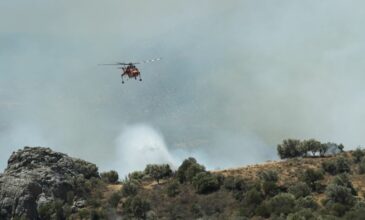 Φωτιά σε δασική έκταση, σε πεδίο βολής, στις Σέρρες