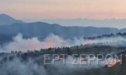 Φωτιά στο Μενοίκιο Όρος – Πέντε εστίες σε μια μέρα στις Σέρρες