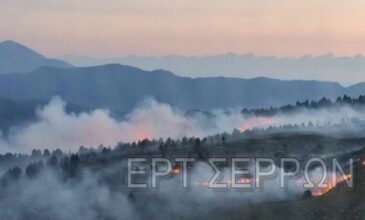 Φωτιά στο Μενοίκιο Όρος – Πέντε εστίες σε μια μέρα στις Σέρρες