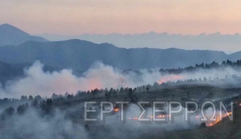 Φωτιά στο Μενοίκιο Όρος – Πέντε εστίες σε μια μέρα στις Σέρρες