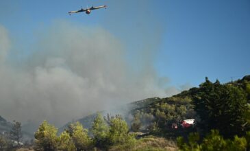 Αυτές είναι οι κυκλοφοριακές ρυθμίσεις σε Βαρνάβα – Σταμάτα – Δροσιά – Διόνυσο και Πεντέλη εξαιτίας της πυρκαγιάς