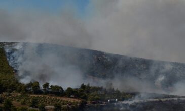 Ανεξέλεγκτη η πυρκαγιά στην Αττική: Μεγάλα πύρινα μέτωπα σε Νταού Πεντέλης, Καλλιτεχνούπολη, Γραμματικό