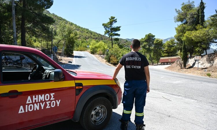 Δήμαρχος Διονύσου για φωτιά: Ο δήμος μας βρίσκεται σε κατάσταση εκτάκτου ανάγκης – Οι πολίτες να ακολουθούν πιστά τις οδηγίες