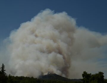 Φωτιά στο Θέρμο Αιτωλοακαρνανίας