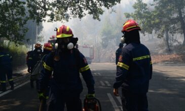 ΔΕΔΔΗΕ: Διακοπές ηλεκτροδότησης σε περιοχές της Αττικής λόγω της μεγάλης φωτιάς