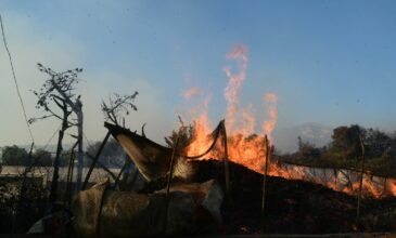 Πύρινος εφιάλτης στην Αττική: Βρέθηκε απανθρακωμένη γυναίκα στο Πάτημα Βριλησσίων