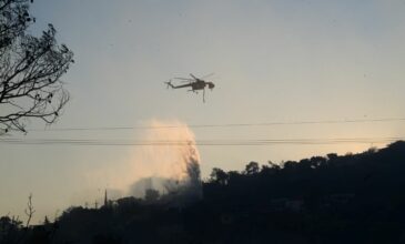 Φωτιές στην Εύβοια: Χωρίς ενεργό μέτωπο στα Μεσοχώρια – Καλύτερη η εικόνα στους Ζάρακες