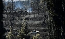 Λέκκας για την καταστροφική φωτιά στην Αττική: «Εξαπλώθηκε και εξαιτίας του φαινομένου της καμινάδας»