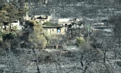 Δέκα προσαγωγές και μία σύλληψη από την αστυνομία για πλιάτσικο στα καμένα σπίτια στην Αττική