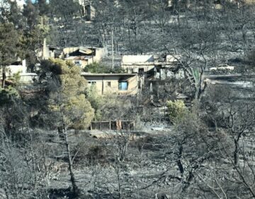 Δέκα προσαγωγές και μία σύλληψη από την αστυνομία για πλιάτσικο στα καμένα σπίτια στην Αττική