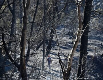 Στην Πεντέλη που επλήγησε από την καταστροφική πυρκαγιά θα μεταβεί την Τρίτη ο Κυριάκος Μητσοτάκης μαζί με υπουργούς