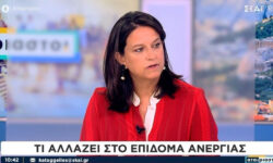 Νίκη Κεραμέως: Έρχονται αλλαγές στο επίδομα ανεργίας