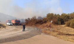 Φωτιά κοντά στις εγκαταστάσεις της ΛΑΡΚΟ στη Φθιώτιδα