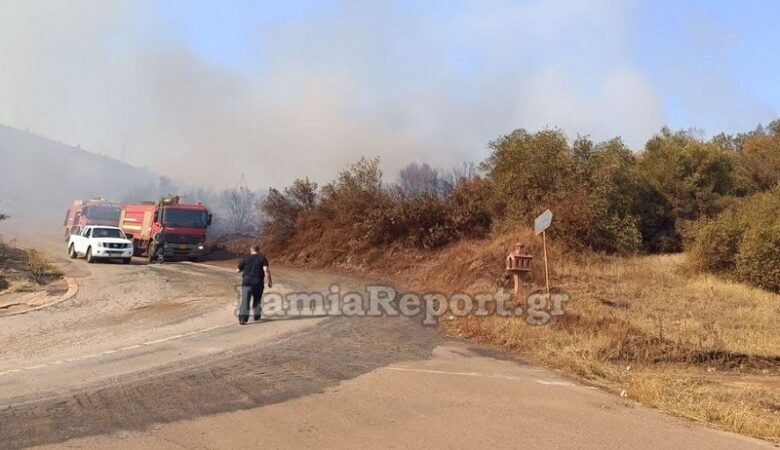 Φωτιά κοντά στις εγκαταστάσεις της ΛΑΡΚΟ στη Φθιώτιδα