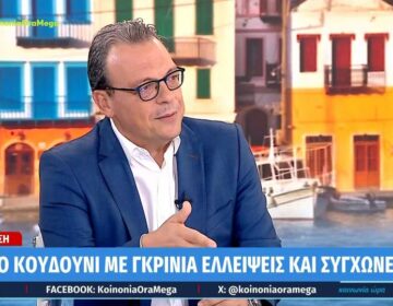 Φάμελλος για Κασσελάκη: Η πολιτική του ήταν αντίθετη με τους πολιτικούς στόχους του ΣΥΡΙΖΑ